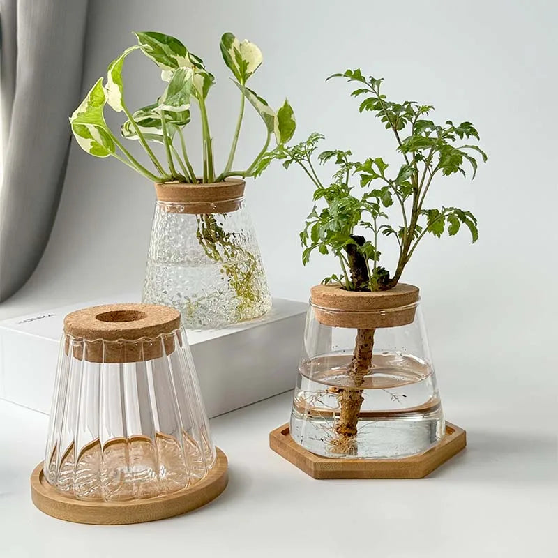 AquaBloom™ Hydroponic Glass Vase Set