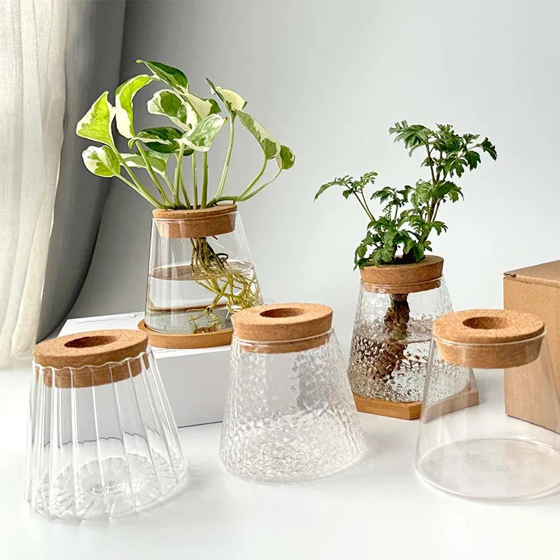 AquaBloom™ Hydroponic Glass Vase Set
