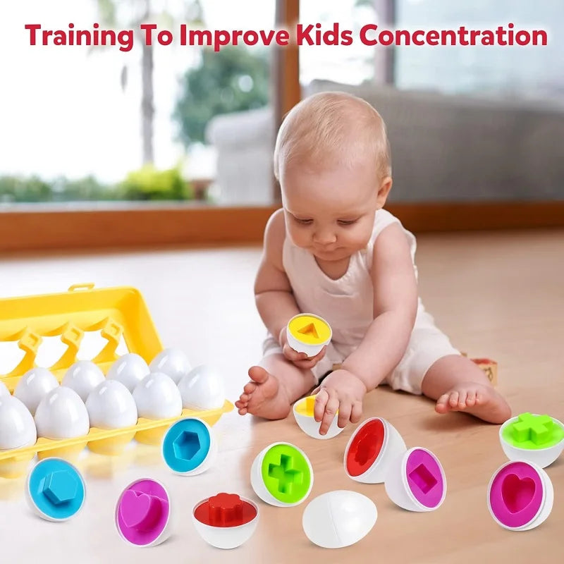 12 Piece Matching Eggs Toy