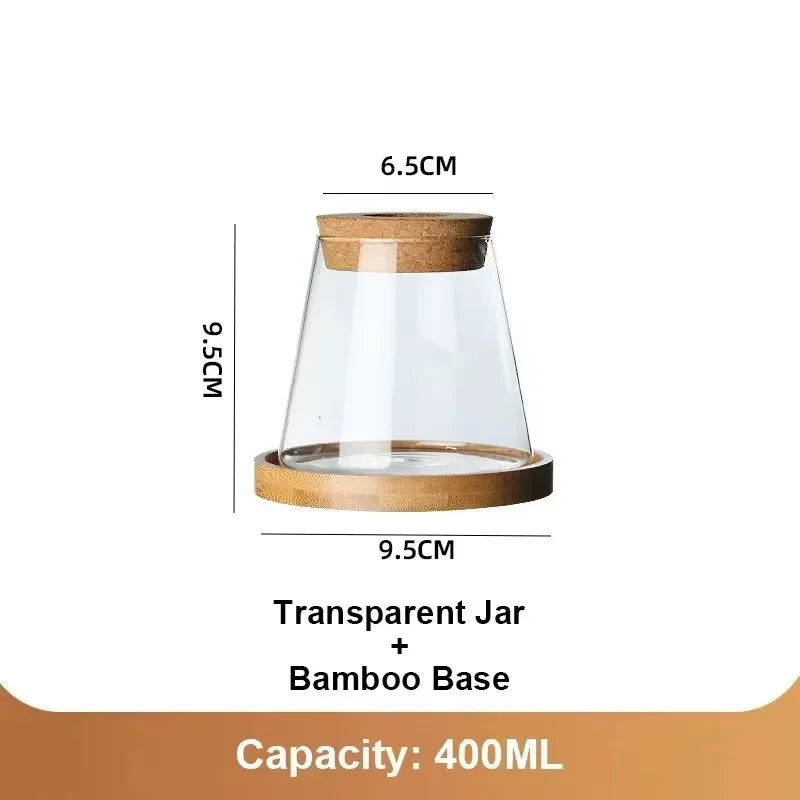AquaBloom™ Hydroponic Glass Vase Set