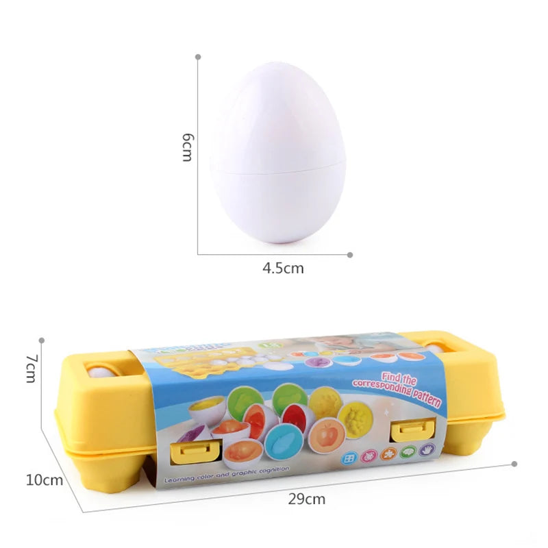 12 Piece Matching Eggs Toy