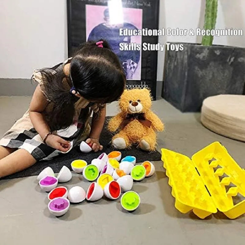 12 Piece Matching Eggs Toy