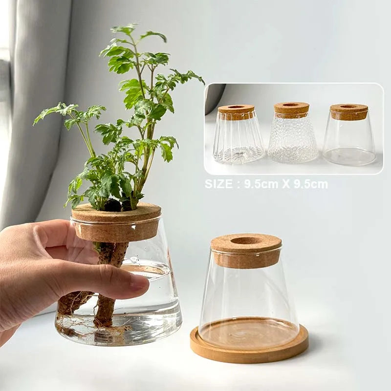 AquaBloom™ Hydroponic Glass Vase Set