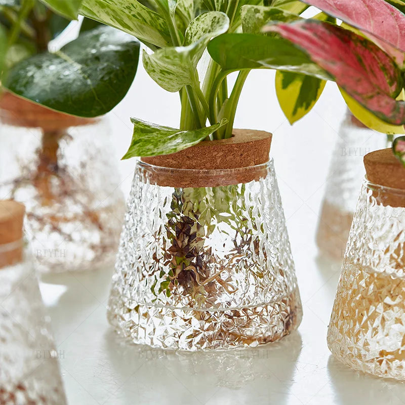 AquaBloom™ Hydroponic Glass Vase Set
