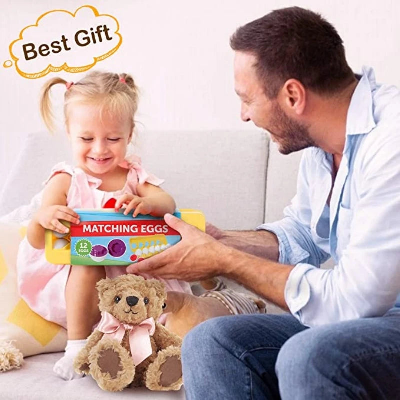 12 Piece Matching Eggs Toy