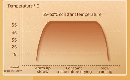 FreshSole SmartDryer
