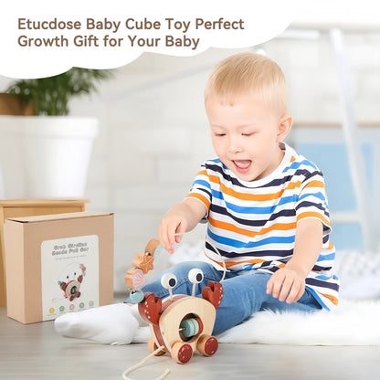 TinyTrek Crab – Montessori Wooden Pull Toy | Multi-Skill Development Bead & Block Toy